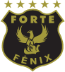 Logo ForteFenix